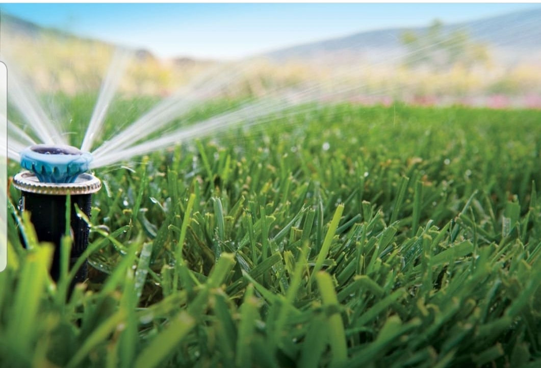 Питомник растений