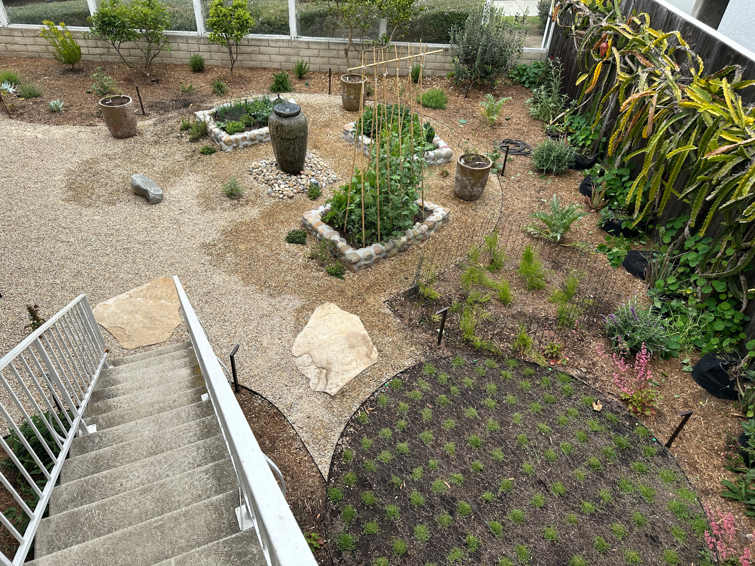 Naturalistic Drought-Tolerant Potager Garden