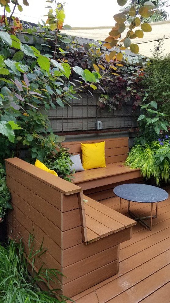 This is an example of a contemporary backyard shaded garden for spring in Seattle with a vertical garden, gravel and a wood fence.