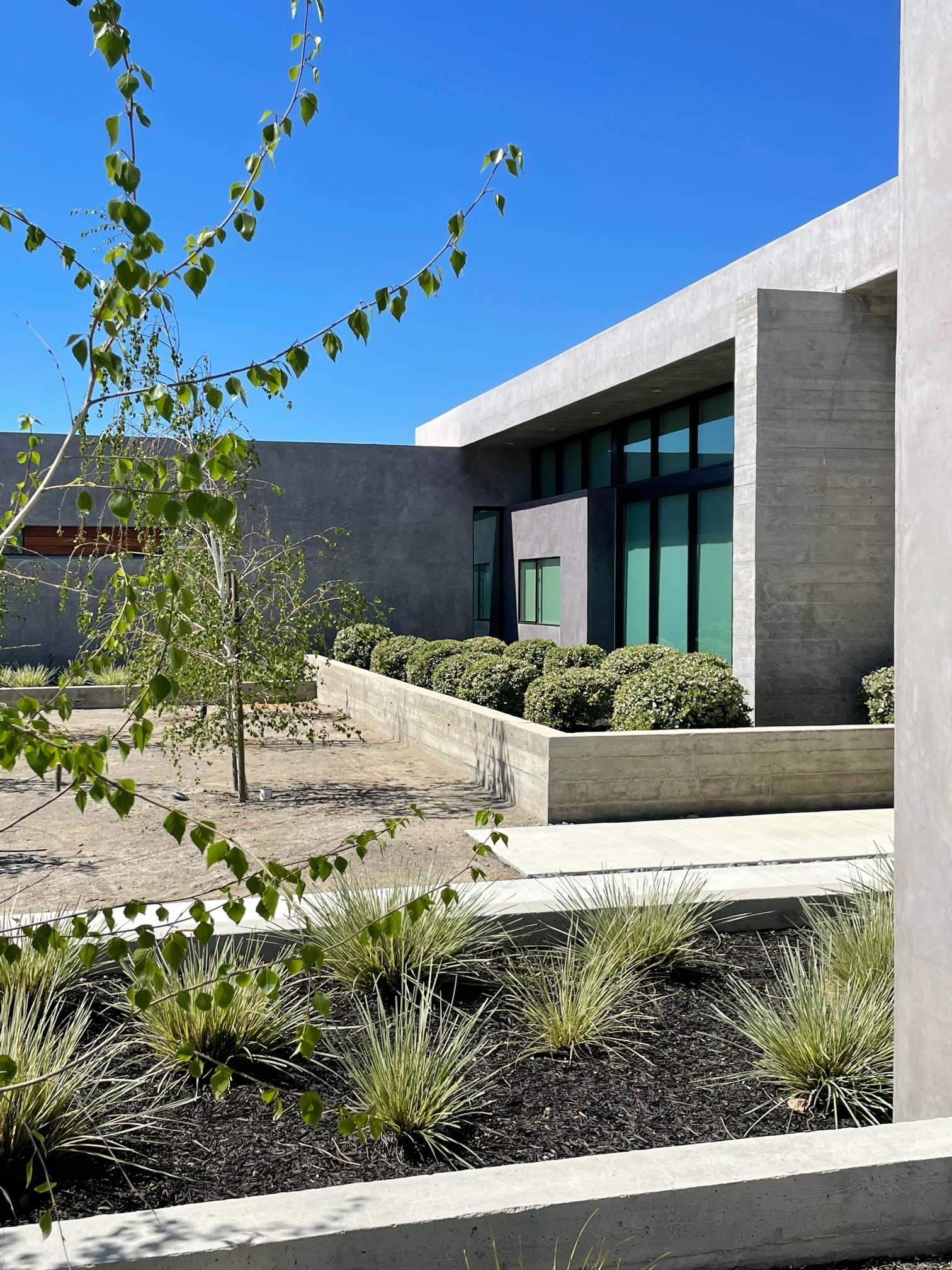Orchard Oasis