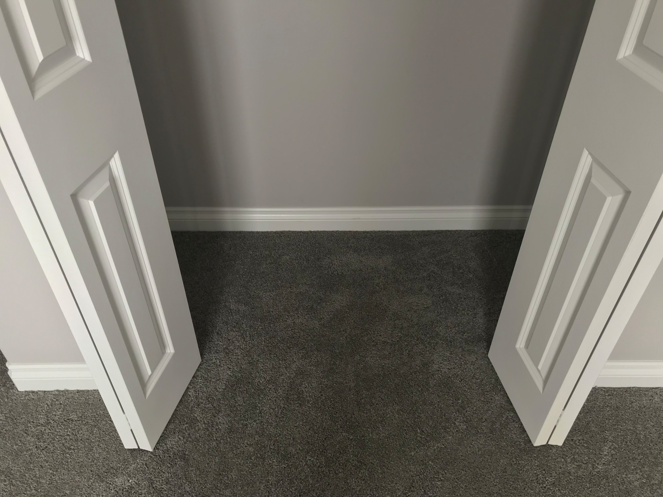 Carpet