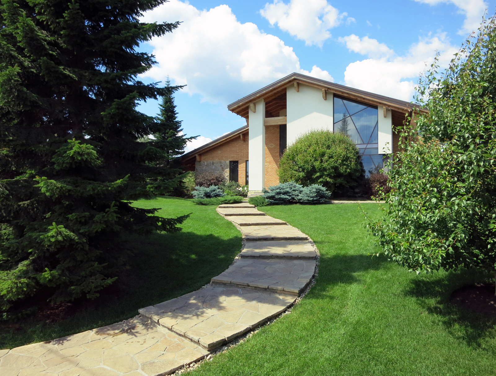 Сад с большими пихтами