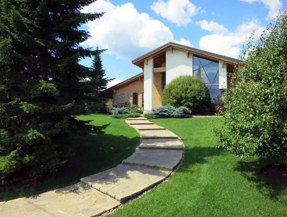 Сад с большими пихтами