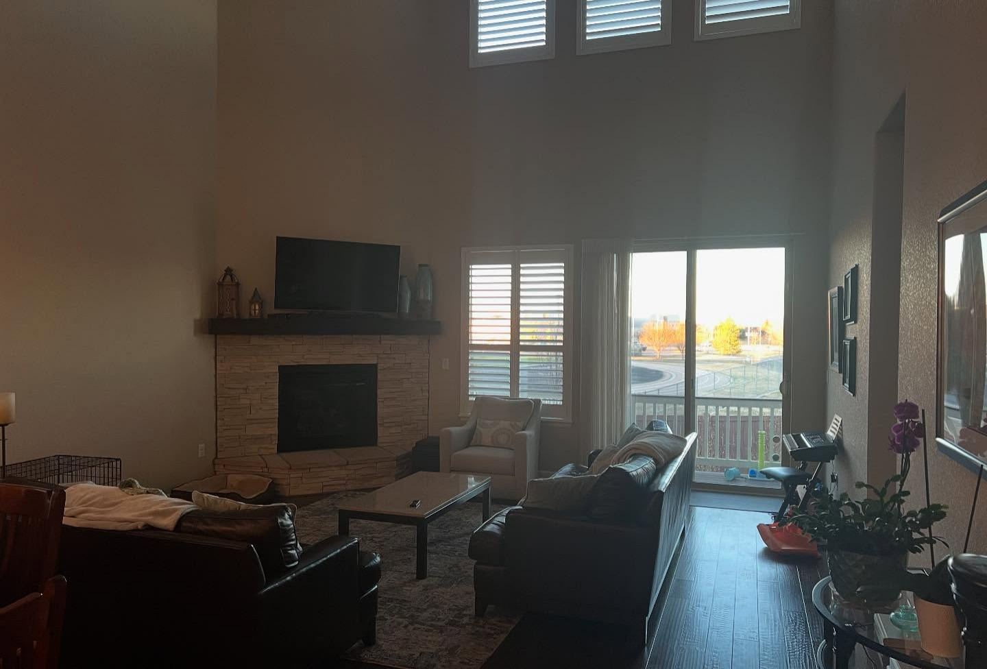 Family Hangout in Fort Collins