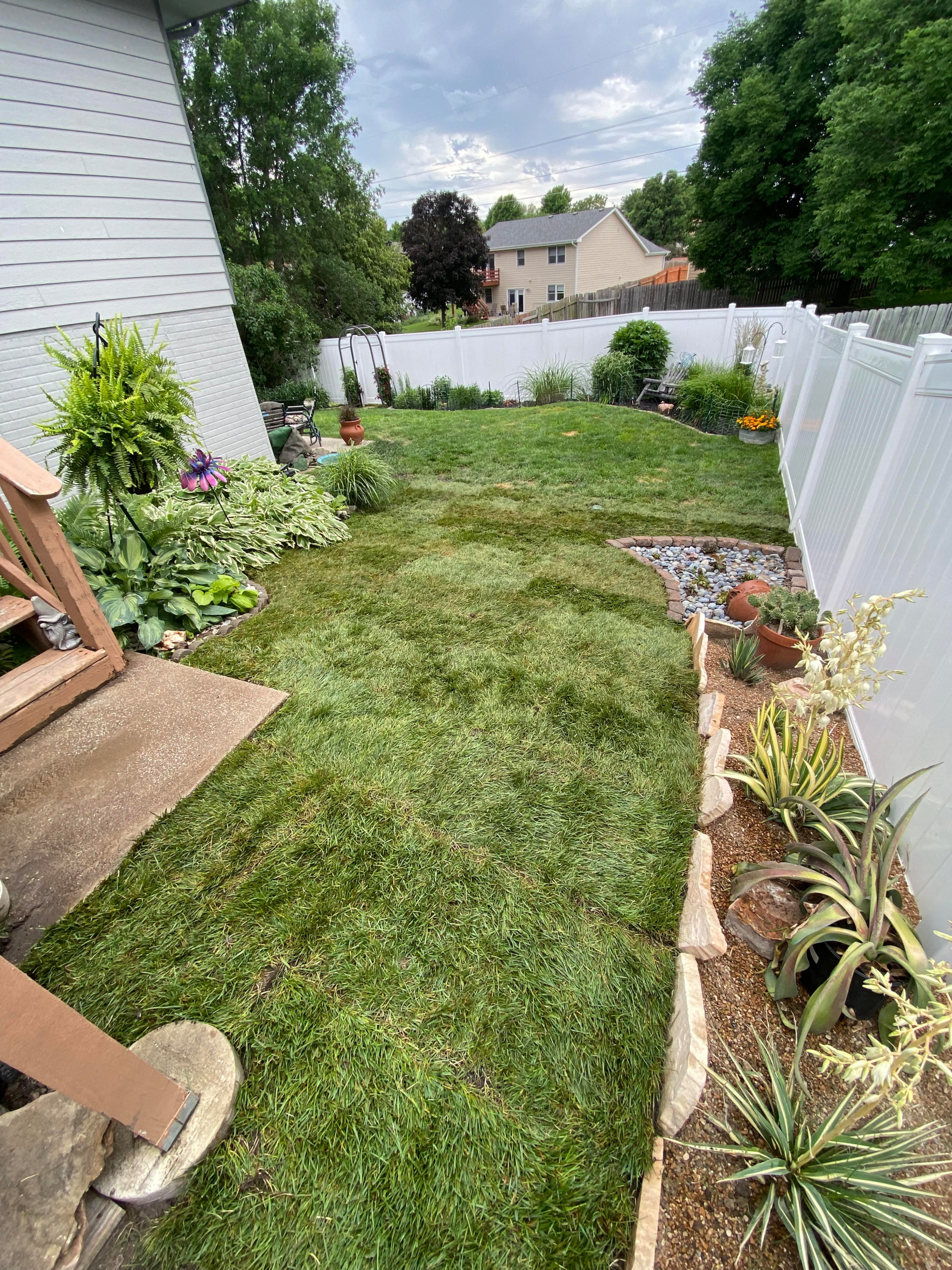 Drainage & RTF Fescue Sod Installation