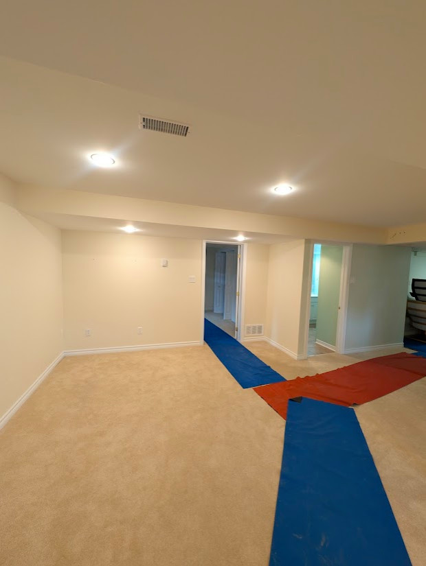 Basement Design+Build - Painting