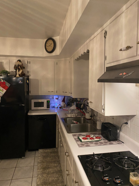 Kitchen before transitional