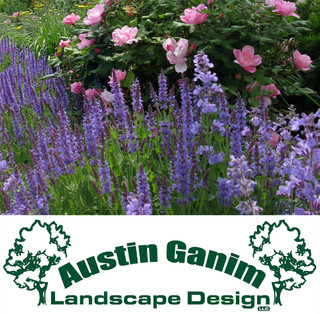 AUSTIN GANIM LANDSCAPE DESIGN LLC Project Photos Reviews