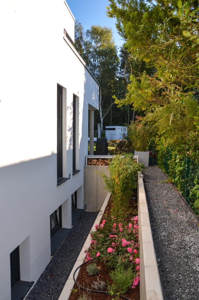 This is an example of a contemporary garden in Dusseldorf.