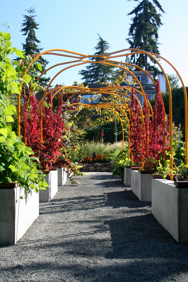 Photo of a contemporary garden in Seattle with a container garden.