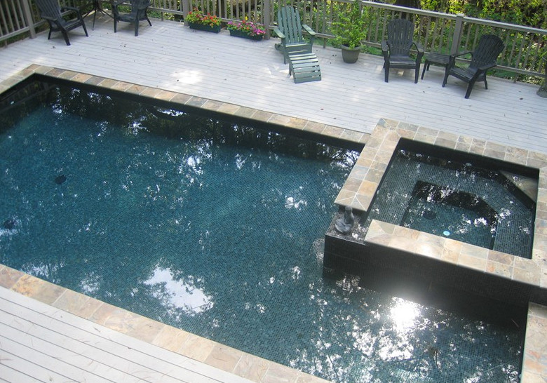 Example of a large transitional backyard pool design in Miami