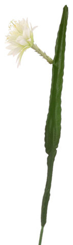 Silk Plants Direct Cactus Flower, Pack of 12