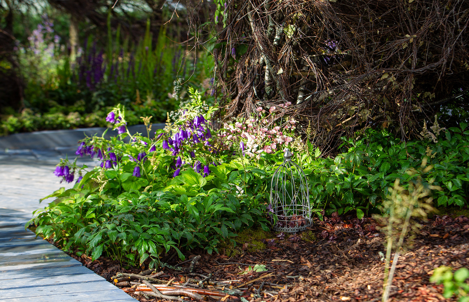 Фотосъемка Сада   по  Метрелинку на MFS 2019 Авторы М,Береснева М. ПРИНТЦ