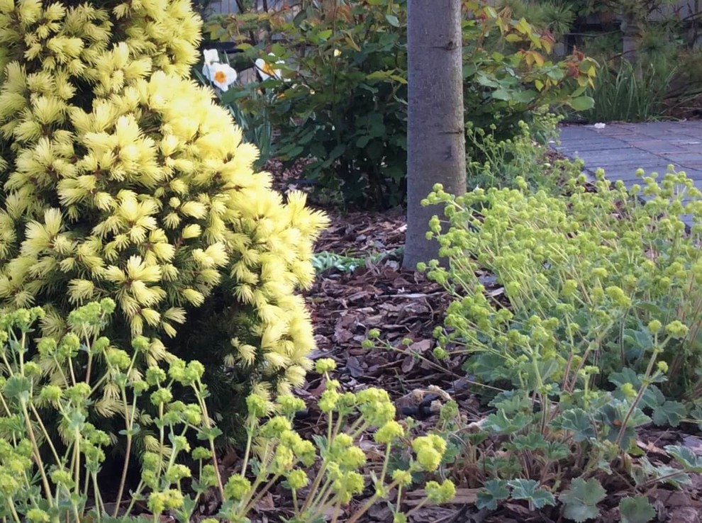 СНЫ О ЧЕМ_ТО БОЛЬШЕМ...