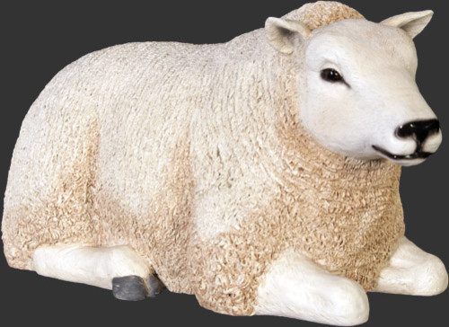 White Texel Lamb- Small - Resting, 11.75" H