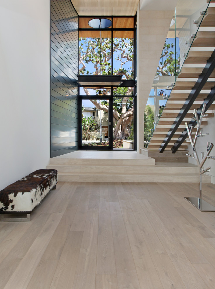 This is an example of an expansive modern front door in Orange County with a pivot front door.