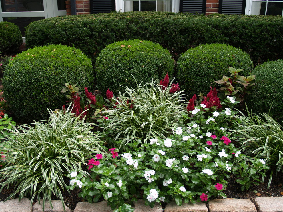 Photo of a partial sun landscaping in St Louis.
