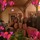 Last commented by Amy D'Amours