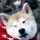webuser_211191616