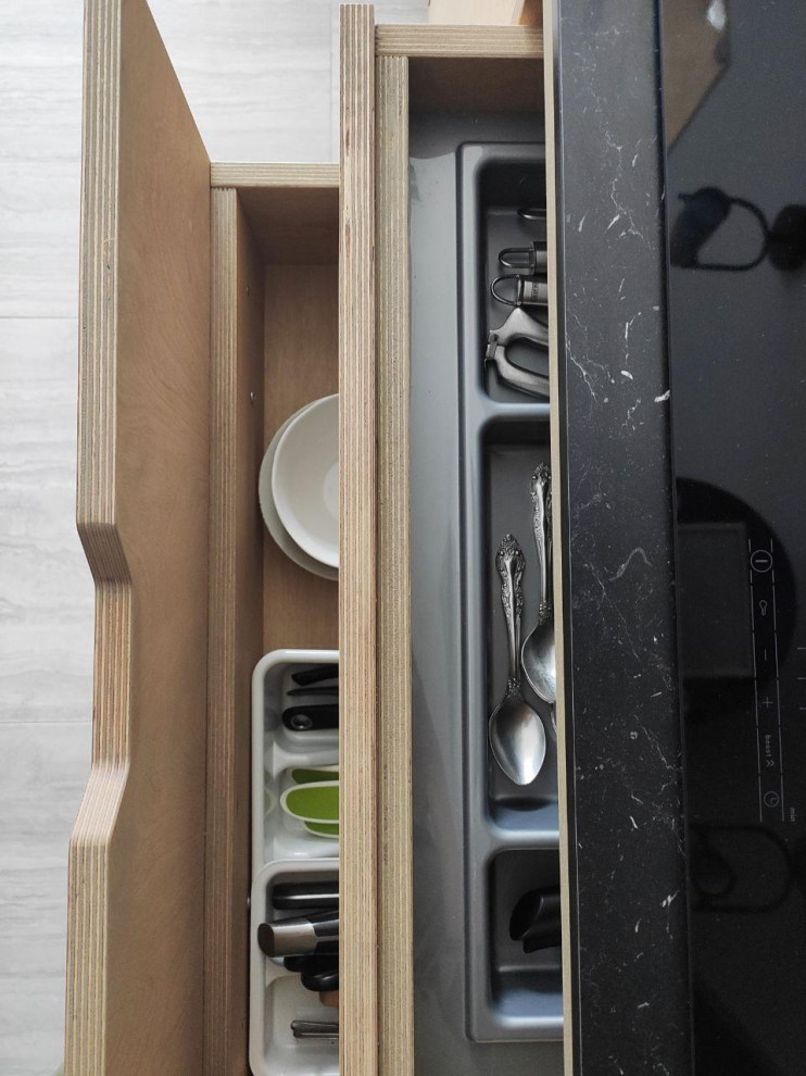 Кухня из фанеры и пластика FENIX