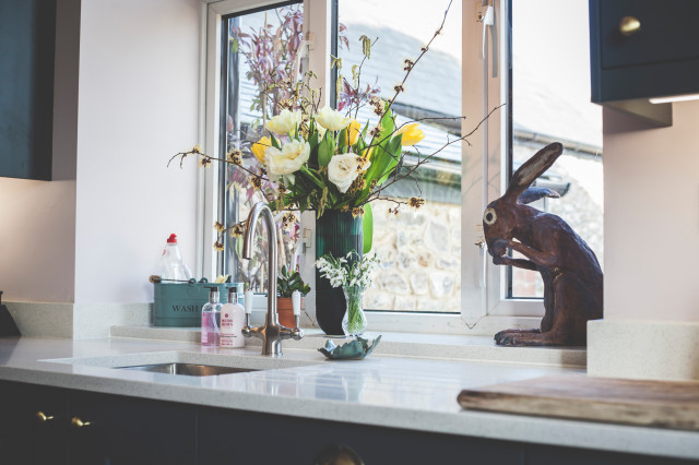 Natural Light Window transitional-kitchen