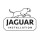 Jaguar Installation