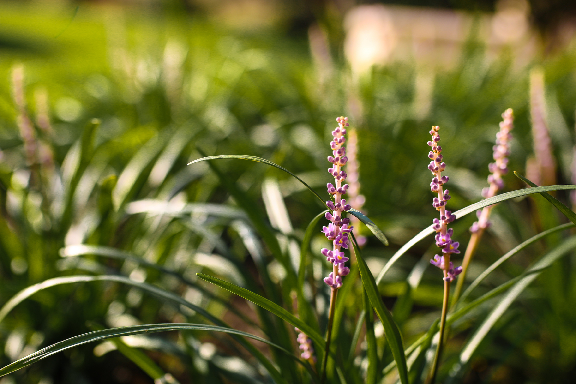 Загородный клуб