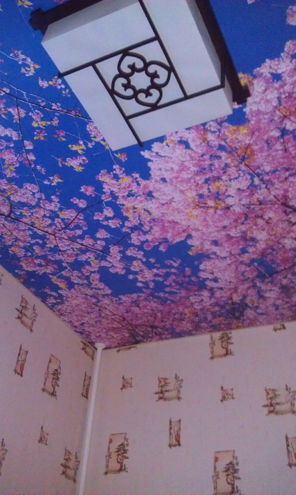 Натяжные потолки с фотопечатью