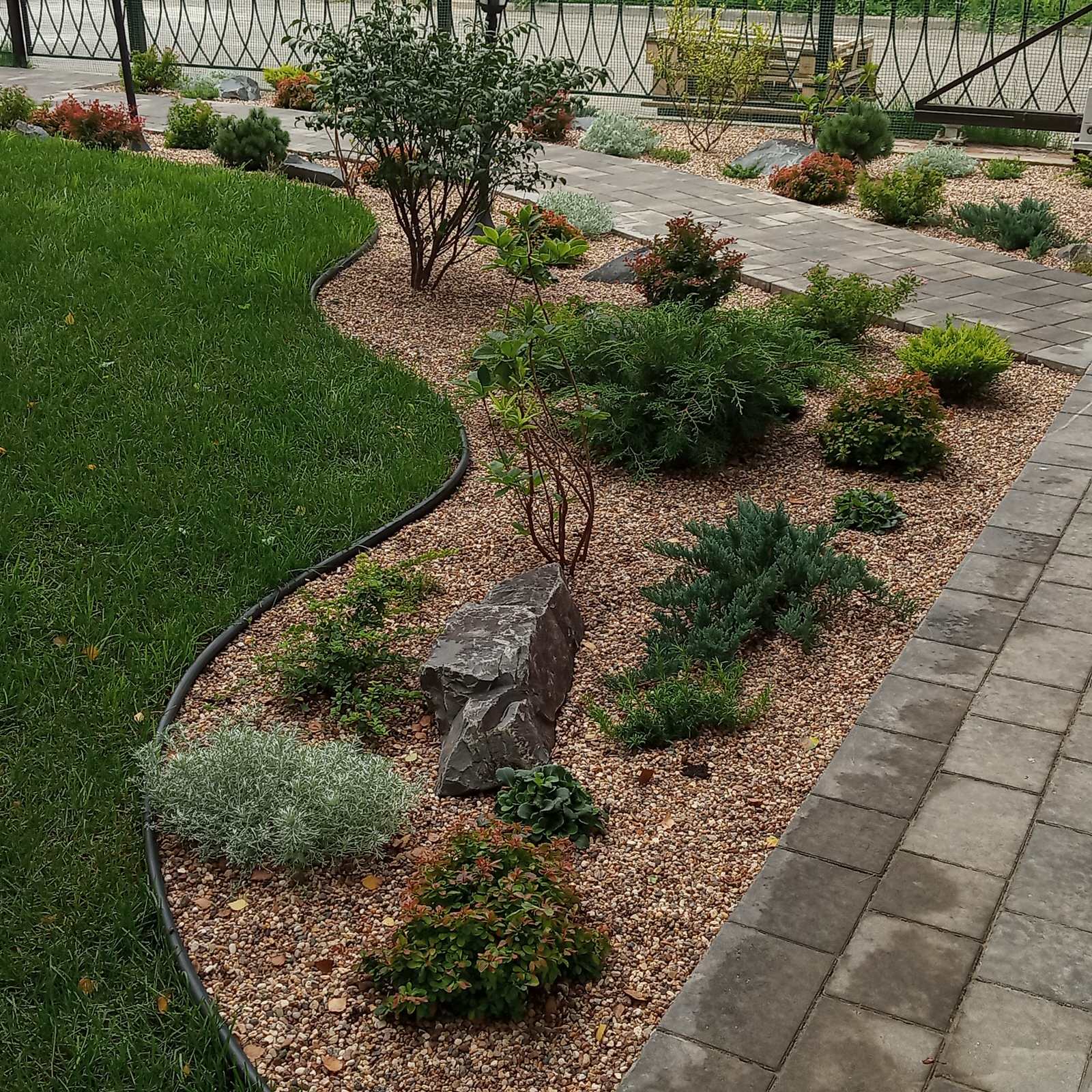 Берёзки и камни