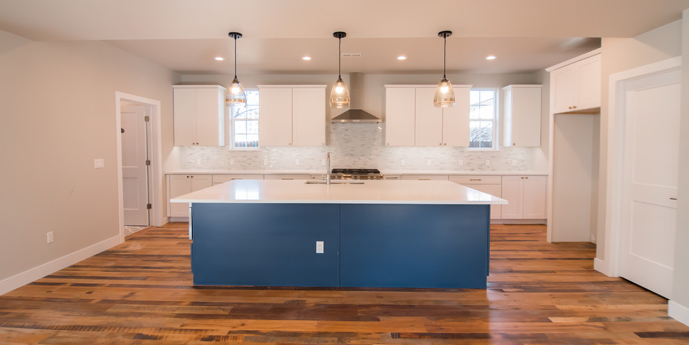 Kitchen - transitional kitchen idea in Denver