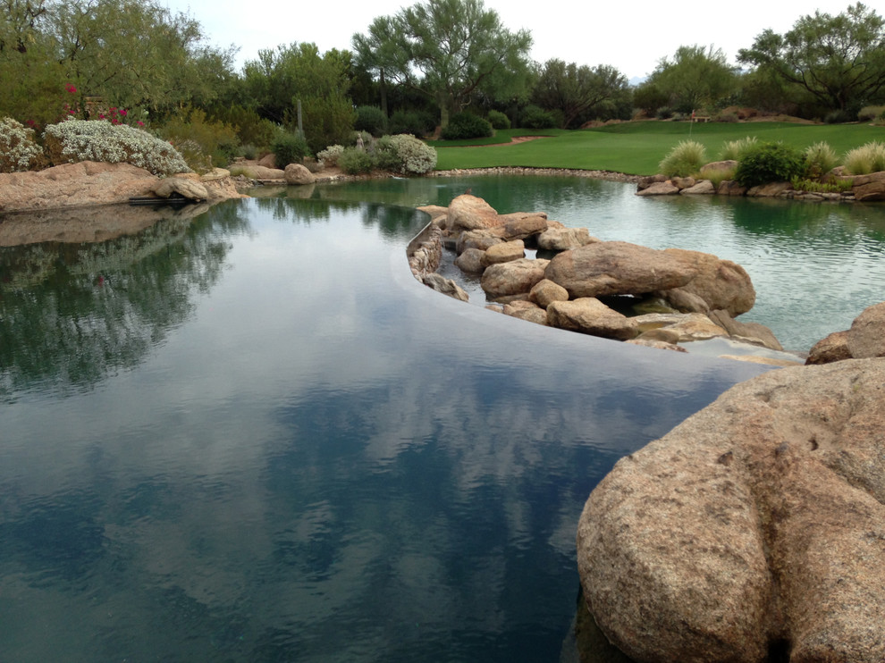 Large country backyard custom-shaped infinity pool in Phoenix with natural stone pavers.