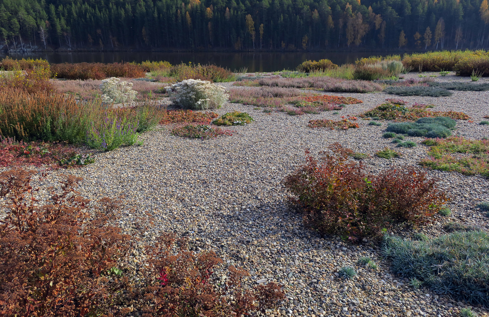 Полынный берег