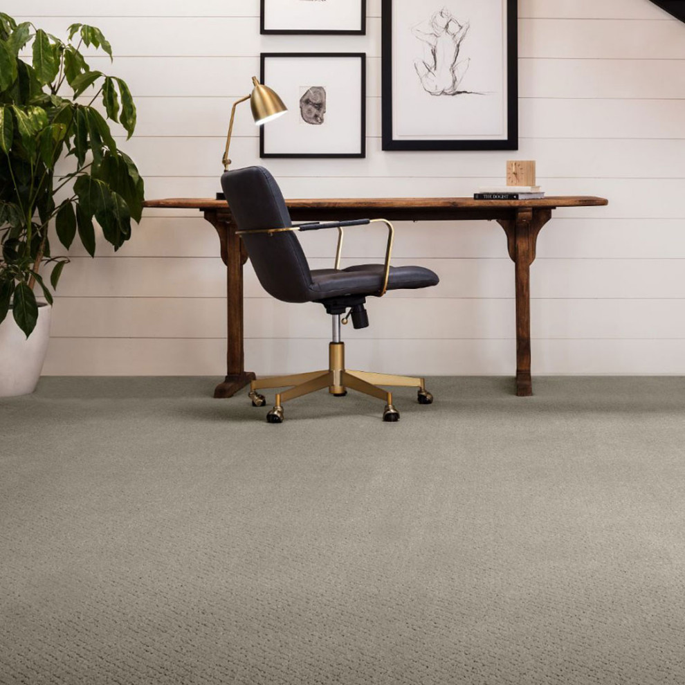 Carpet Contemporary Home Office Philadelphia by Avalon Flooring