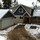shuswaplakehouse