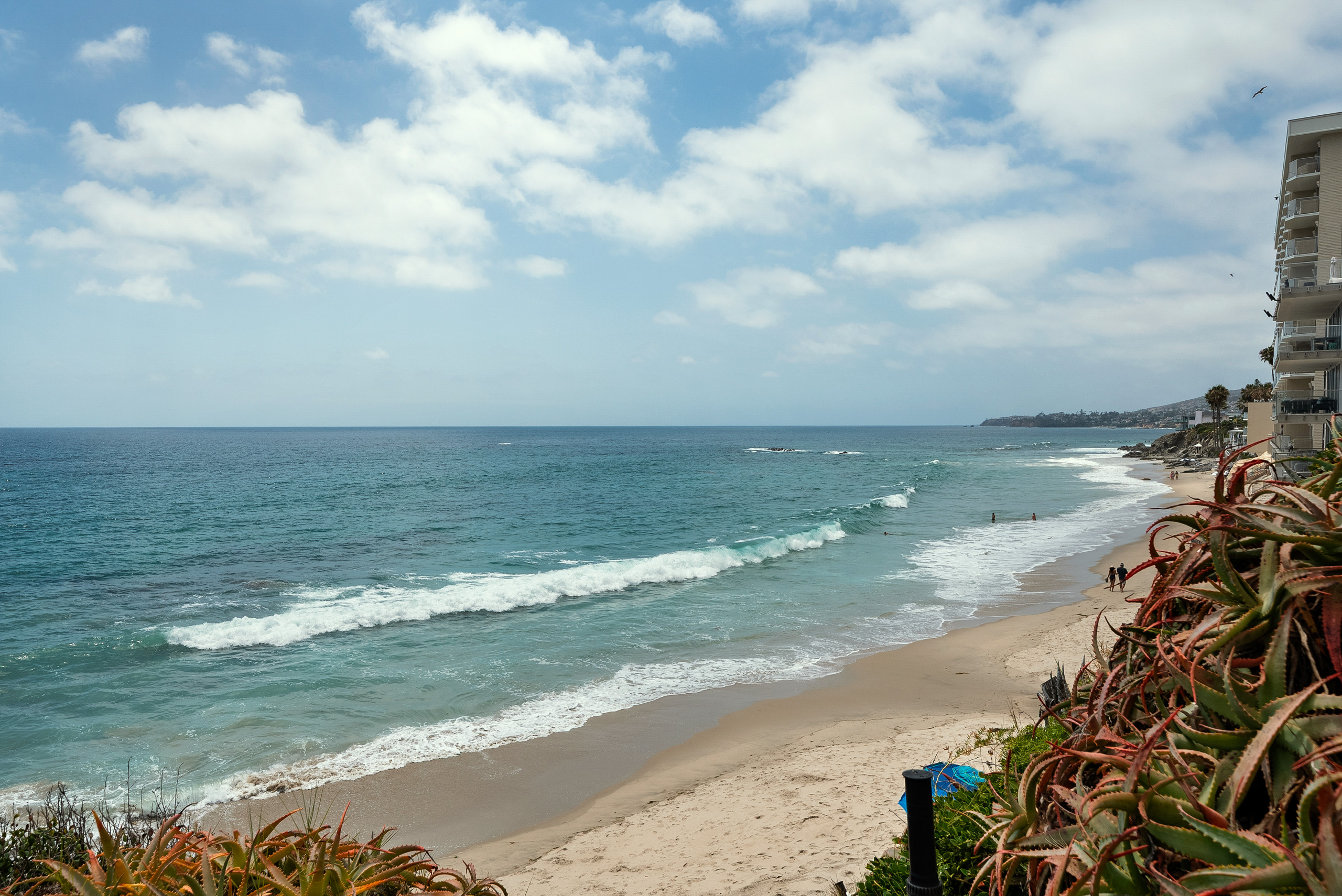 Laguna Beach Project