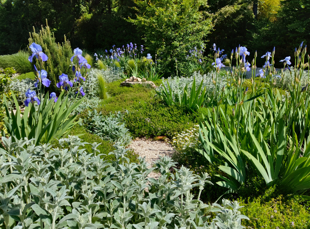 Pourrières, Var. Jardin méditerranéen naturel