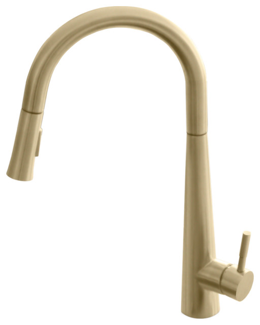 STYLISH Kitchen Sink Faucet Single Handle Pull Down Dual Mode Brushed Gold