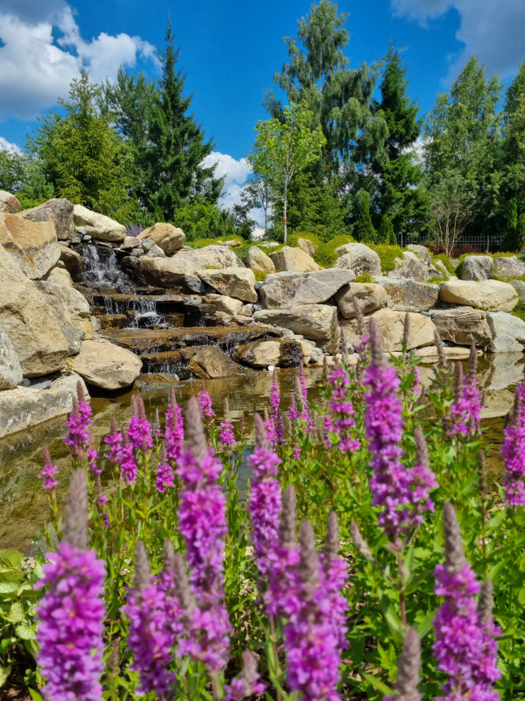 Миллениум парк 2024