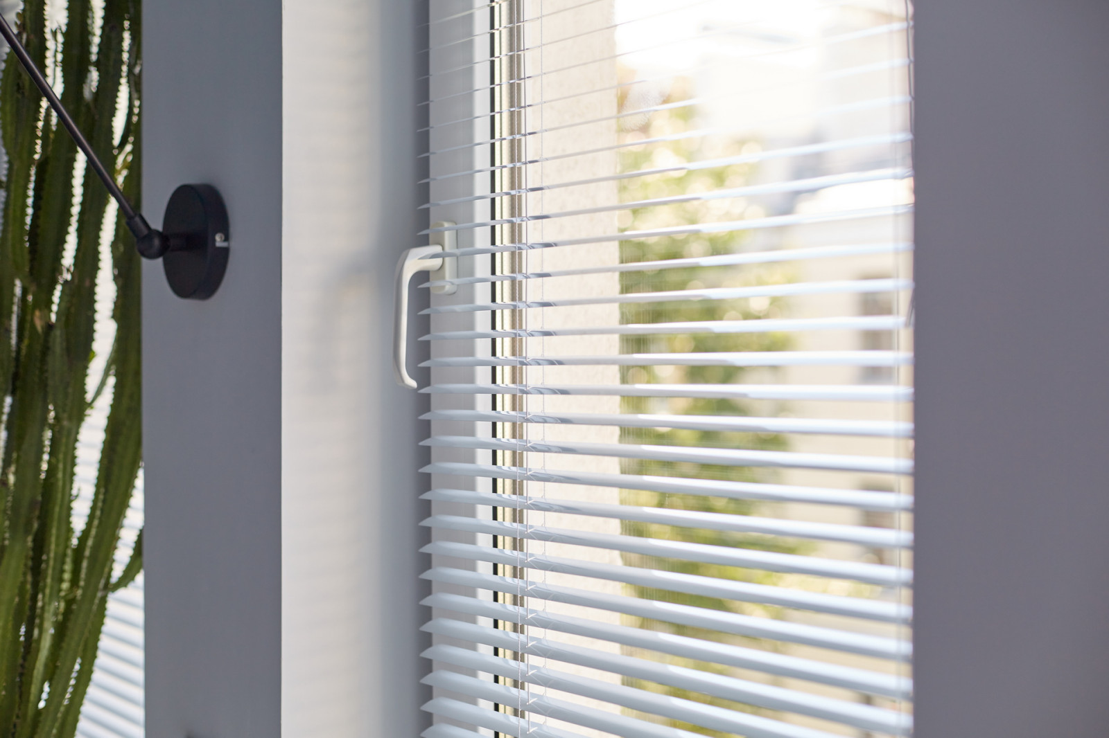 Большая переделка с Konigin Checkbox&Spark&Fennel