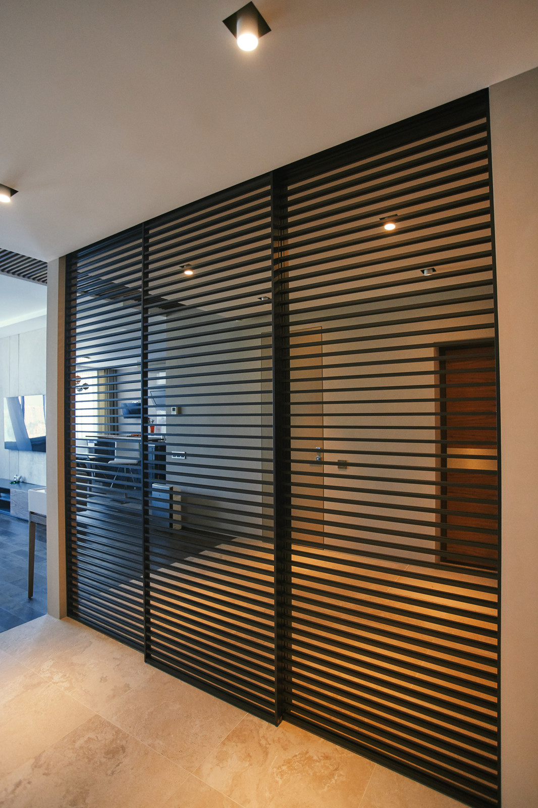 Подвесные двери raumplus с накладными разделителями S1200 Air