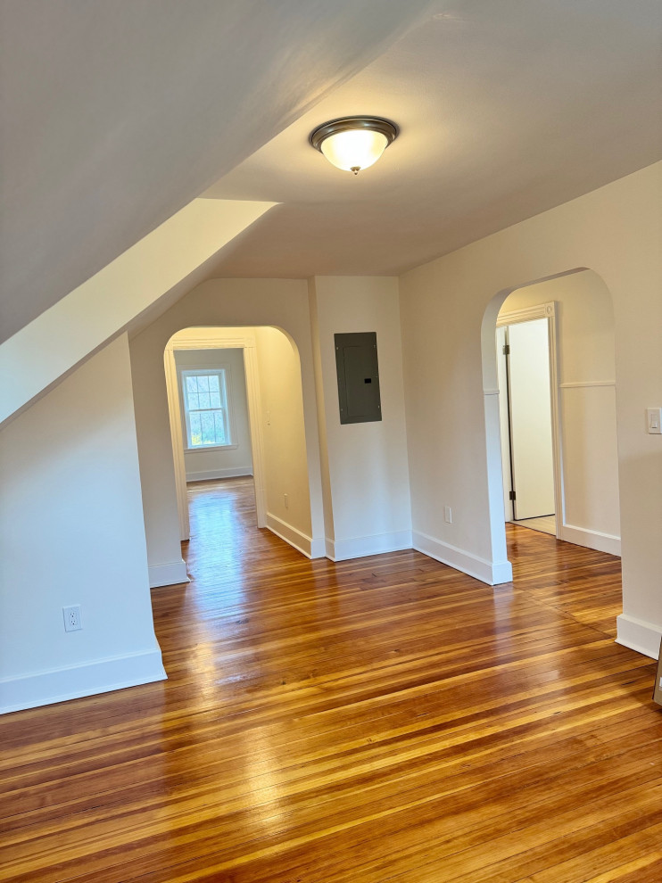 Two Family renovation