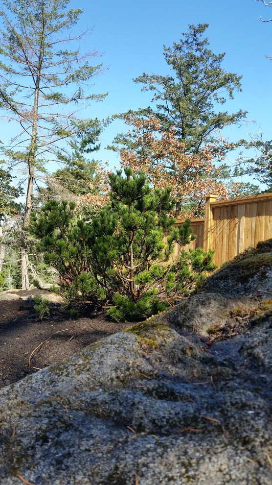 Design ideas for a mid-sized rustic drought-tolerant and partial sun backyard landscaping.