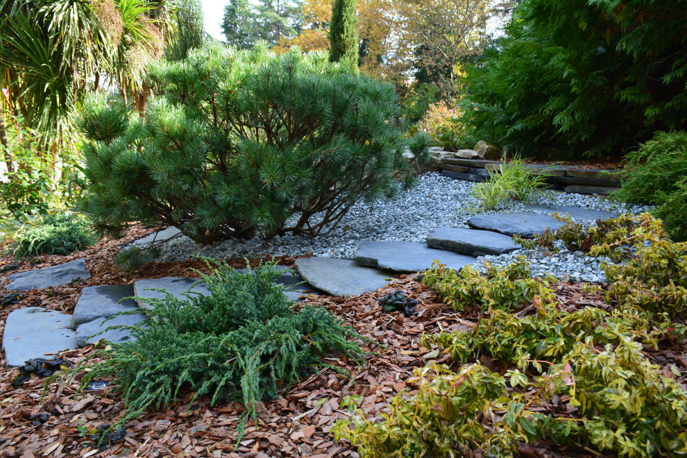 Адлер "Южное Взморье"