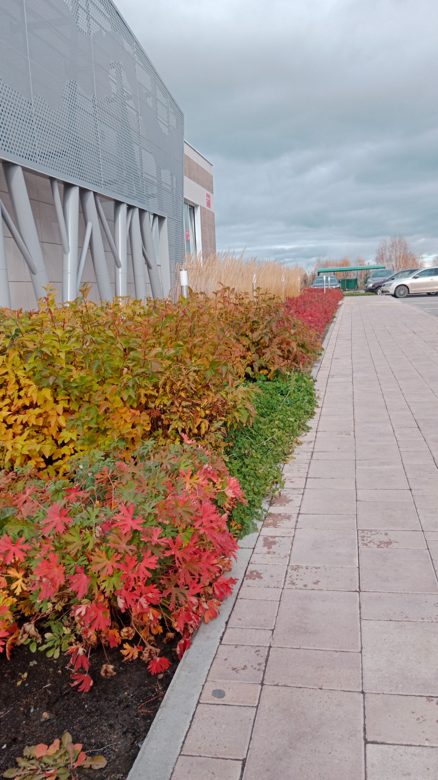 Парк Здоровье