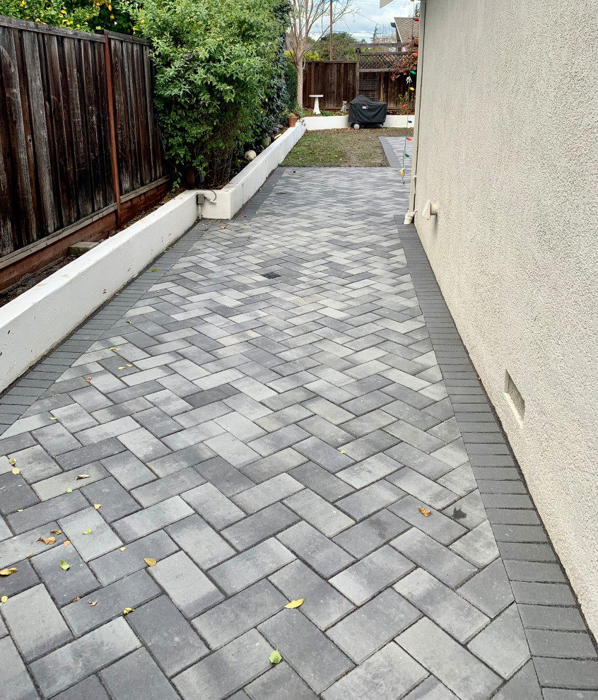 Walkway and Garden