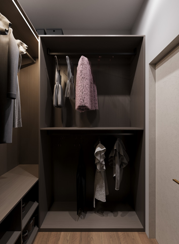 Проект Жабкино