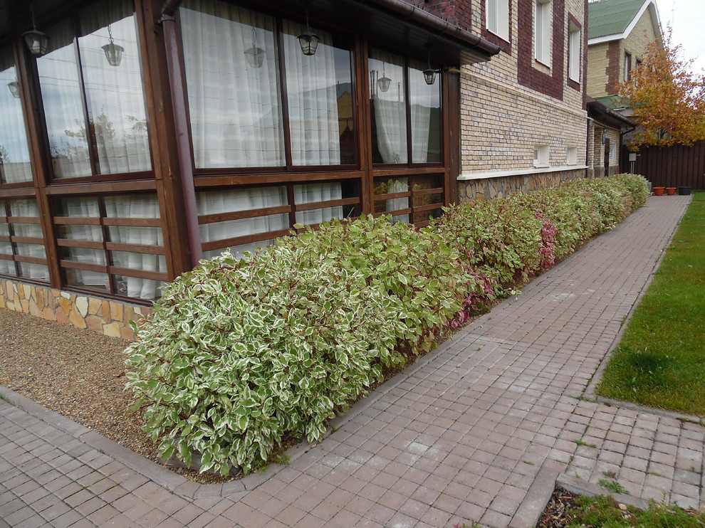 Идеи для современного сада.