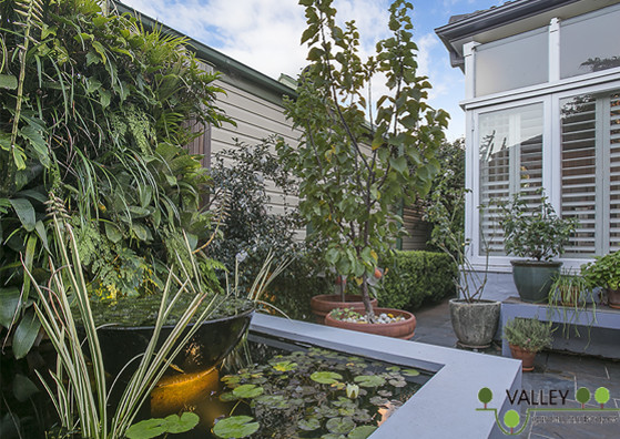 This is an example of a mid-sized modern backyard full sun xeriscape for fall in Sydney with with pond.