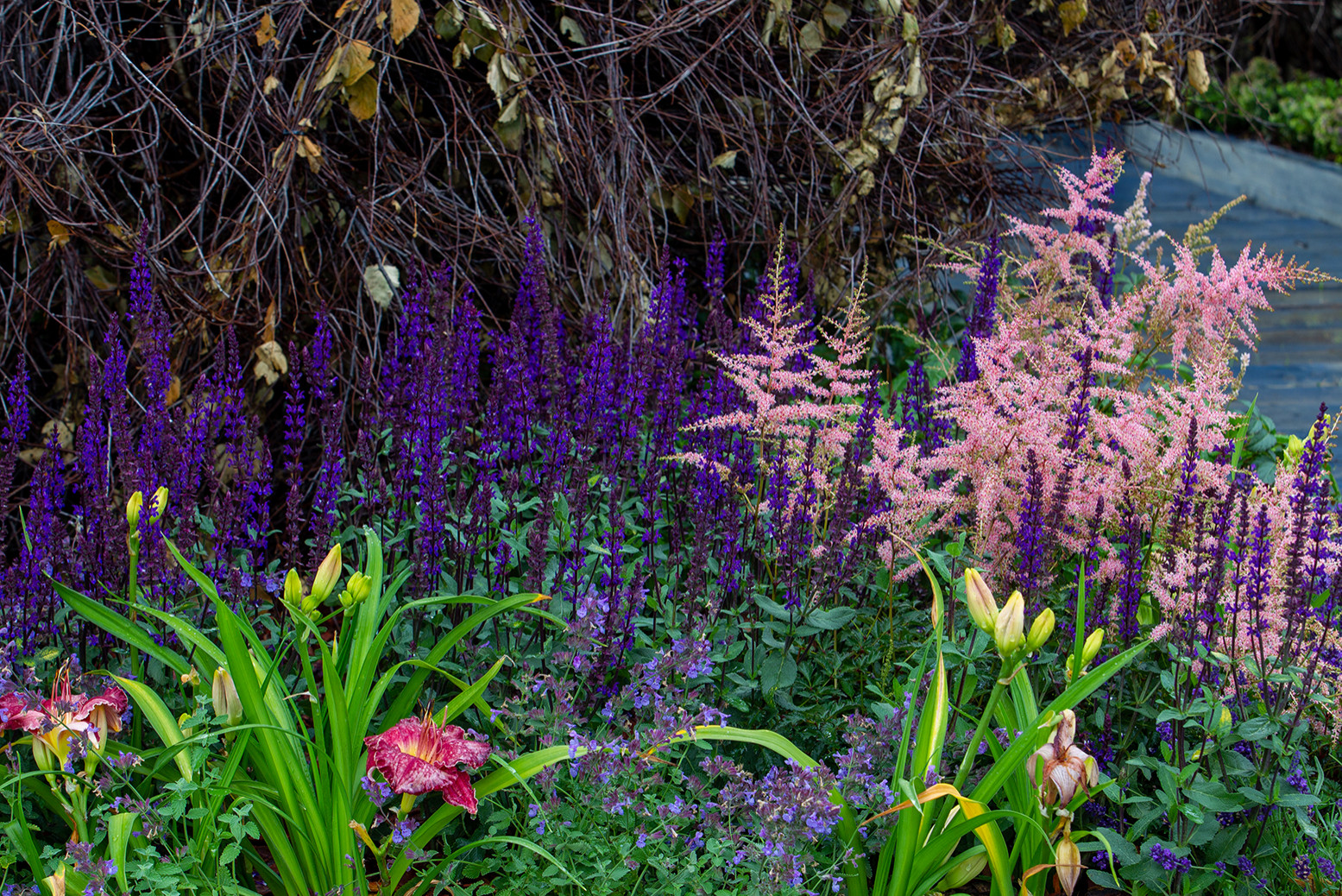 Фотосъемка Сада по сказке СиняяПтица на MFS 2019 Авторы М,Береснева М. ПРИНТЦ