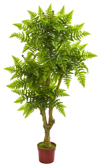 5 5 Boston Fern Artificial Tree Uv Resistant Indoor Outdoor Tropical Artificial Plants And Trees By Nearly Natural Inc Houzz 5 5 Boston Fern Artificial Tree Uv Resistant Indoor Outdoor Tropical Artificial Plants And Trees By Nearly Natural Inc Houzz